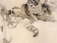 кот на дереве