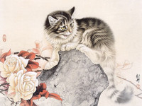 кот на камне